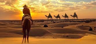 Evening Desert Safari with Camel Trekking